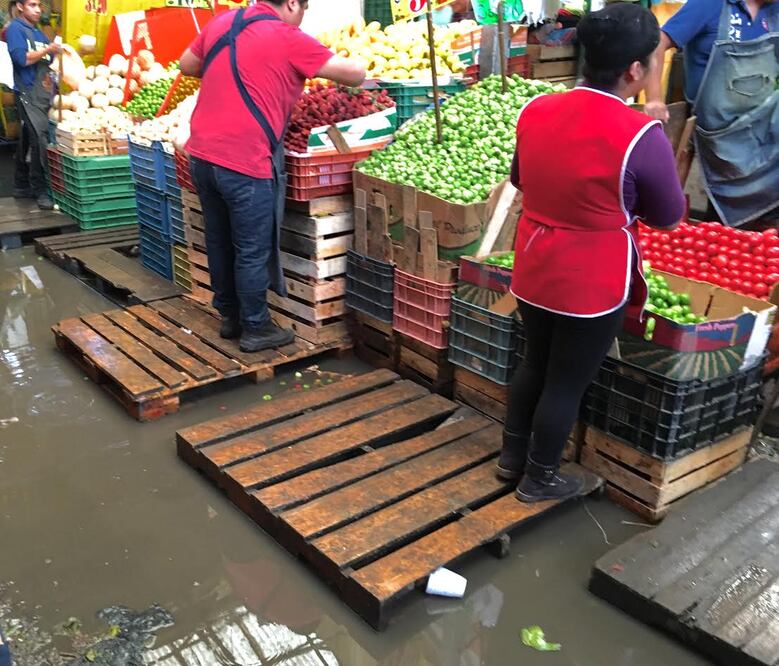 La actual central de abasto de Pachuca enfrenta múltiples problemas como la falta agua y drenaje (Foto: Agencia EL UNIVERSAL)