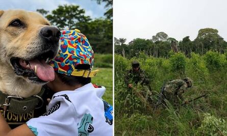 Ada, la perrita que perdió la vista tras erradicar cultivos de coca ahora es terapeuta infantil 