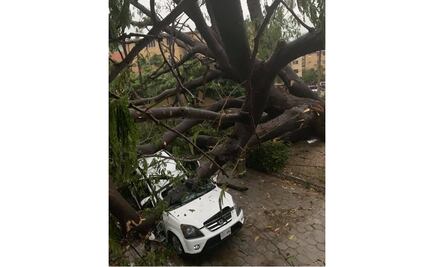 Vientos y lluvias arrancan techos y tiran 30 árboles en Huatulco, Oaxaca