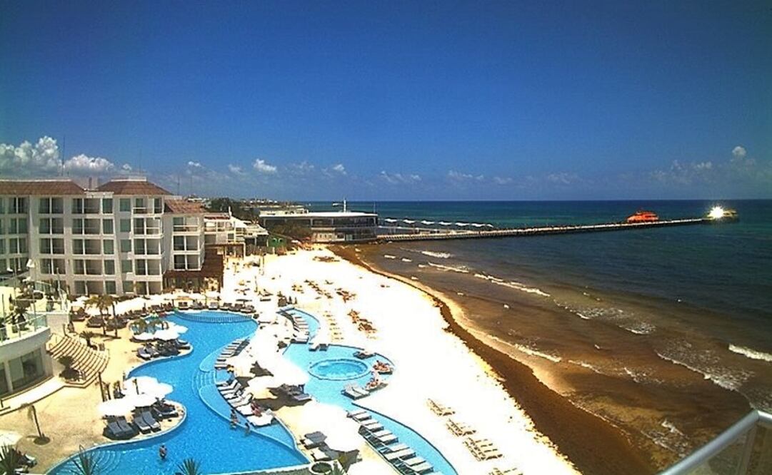 Foto: Cortesía/Red de Monitore del Sargazo-Cancún