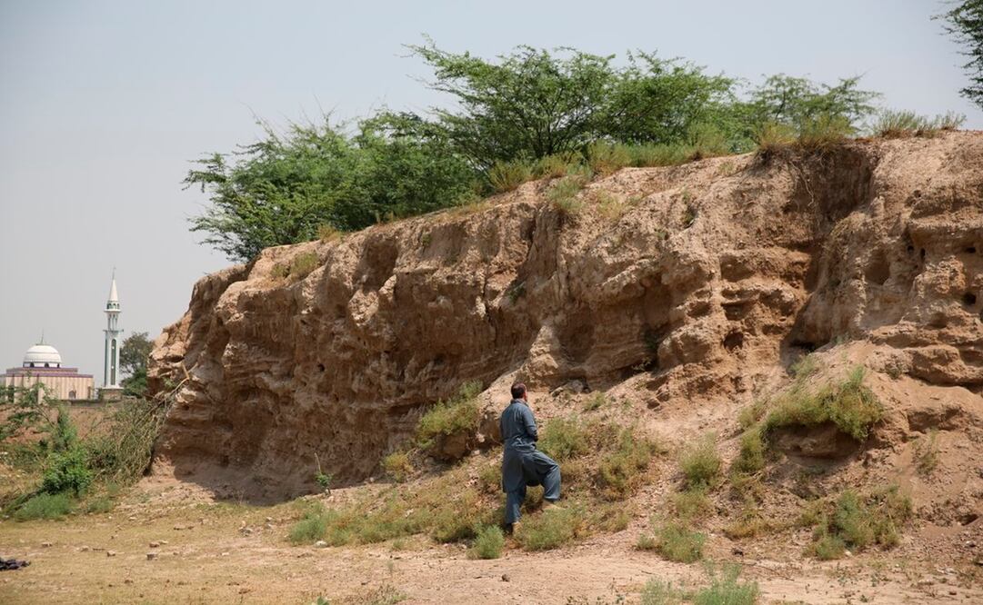 Foto: Cedida por Miguel Gutiérrez-Garitano/ EFE