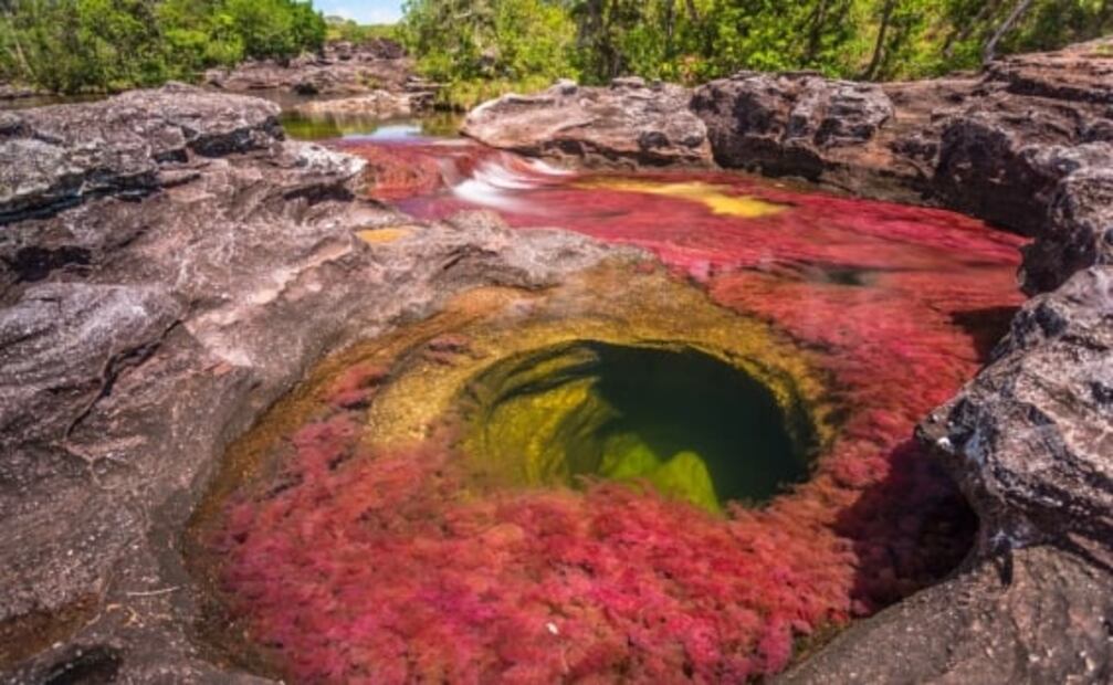 Caño Cristales, el río de colores que perteneció a las FARC