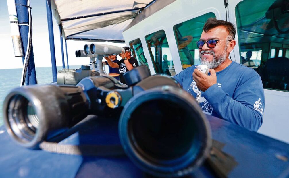 Con ayuda de binoculares de largo alcance llamados big eyes y un dron, científicos observan a la especie endémica. Foto: Berenice Fregoso / EL UNIVERSAL