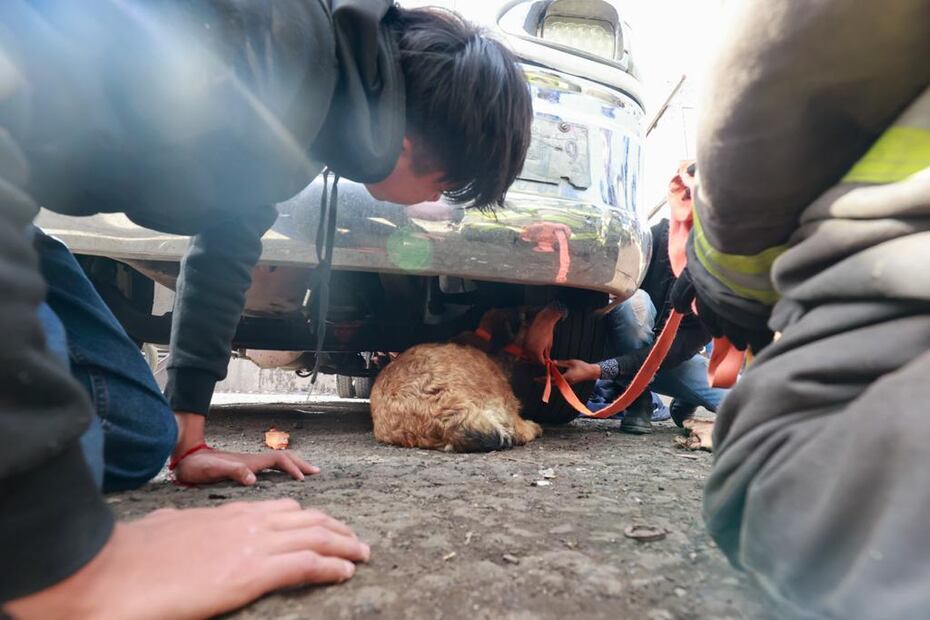 FOTO: Claudia González/ EL UNIVERSAL/