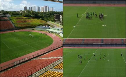 Tri Olímpico arranca con los entrenamientos en Brasil 