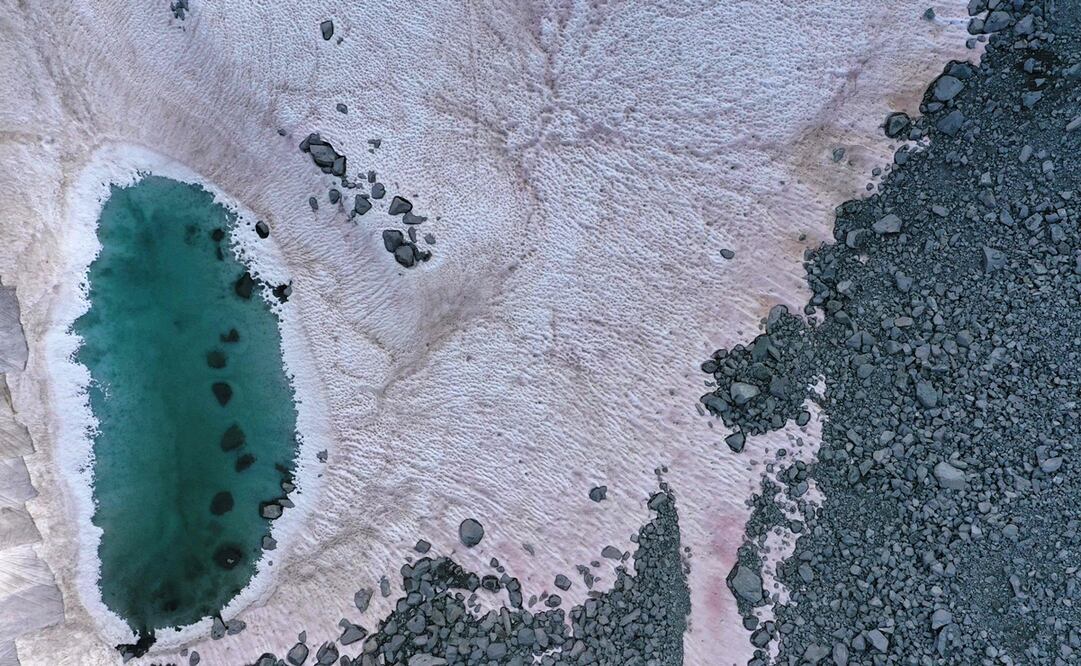 Foto: Miguel Medina /AFP