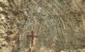 Obreros descubren aparente figura de la Virgen de Guadalupe durante excavación en San Luis Potosí; detienen trabajos temporalmente