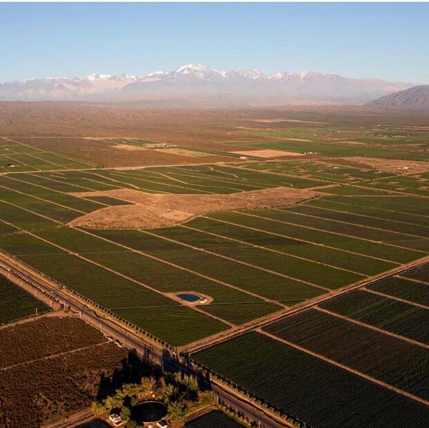Científicos descubren nueva especie de roedor en Argentina. Fuente: Instagram @bodegaargento