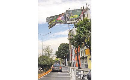 Ráfagas derriban 100 árboles en dos días