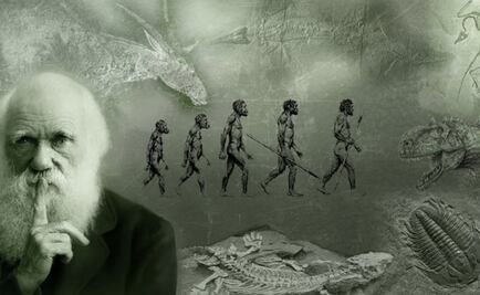 “La teoría de la evolución” de Charles Darwin cumple 157 años