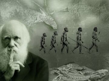 “La teoría de la evolución” de Charles Darwin cumple 157 años