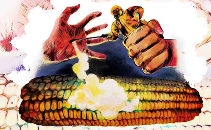 La batalla por erradicar el glifosato