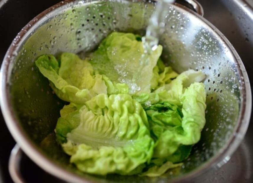 Las propiedades de la lechuga y cómo disfrutarla fuera de las ensaladas