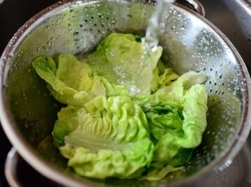 ¿Cómo desinfectar la lechuga rápido y seguro?