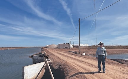 Productores, en la incertidumbre ante aranceles y sin apoyo 