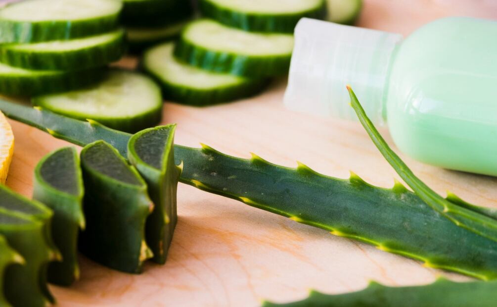 Los componentes del aloe vera hidratan el pelo. Foto: Freepik