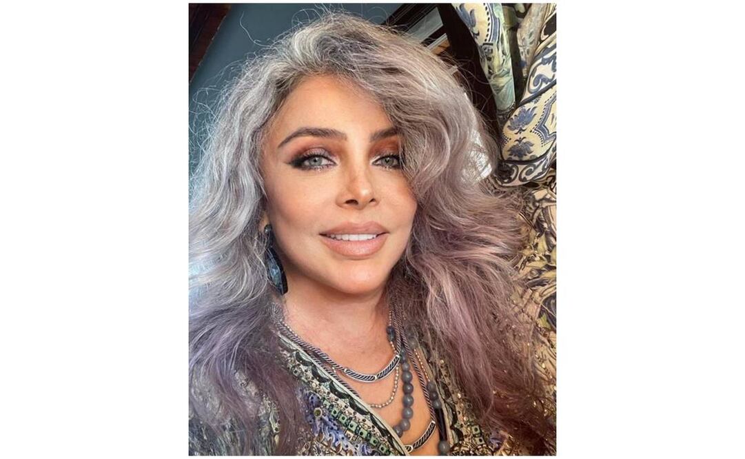 Twitter  Verónica Castro 