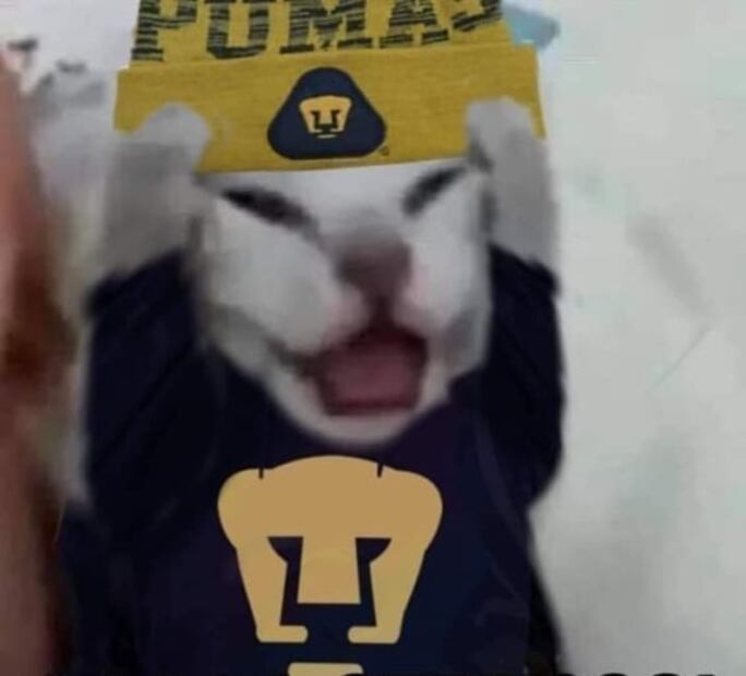 Los mejores memes de la llegada de Dani Alves a los Pumas