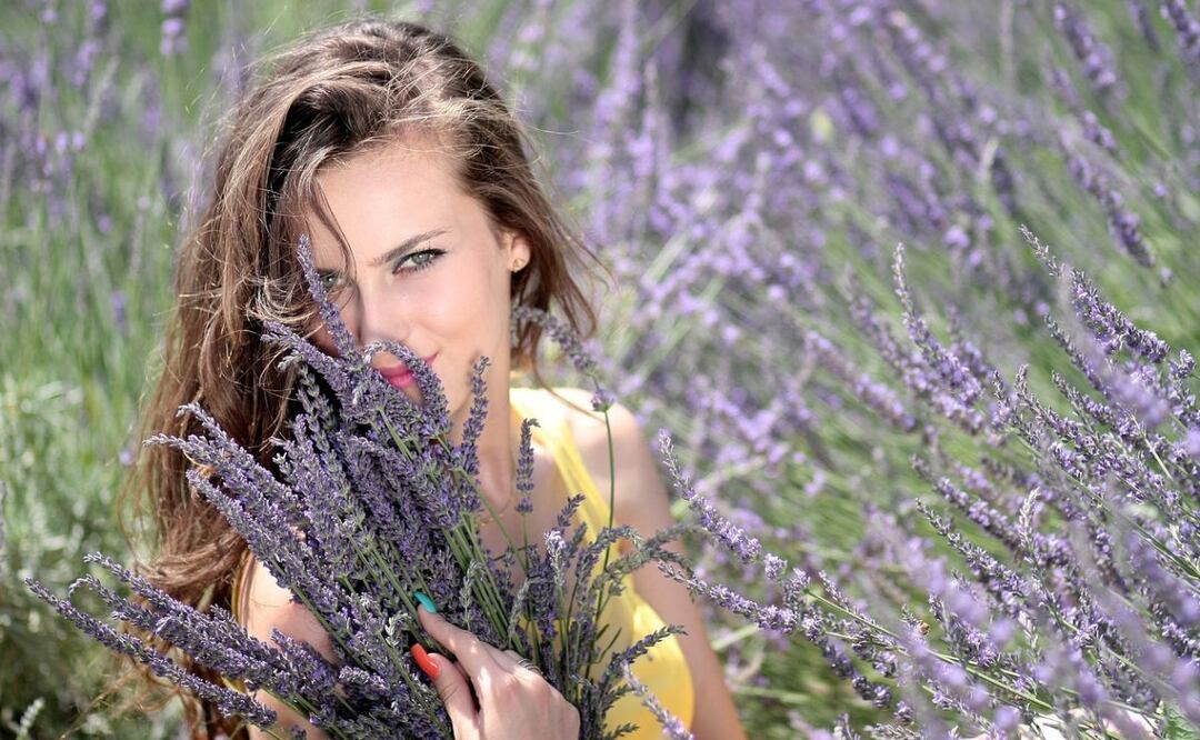 Lavanda. Fuente: Pixabay