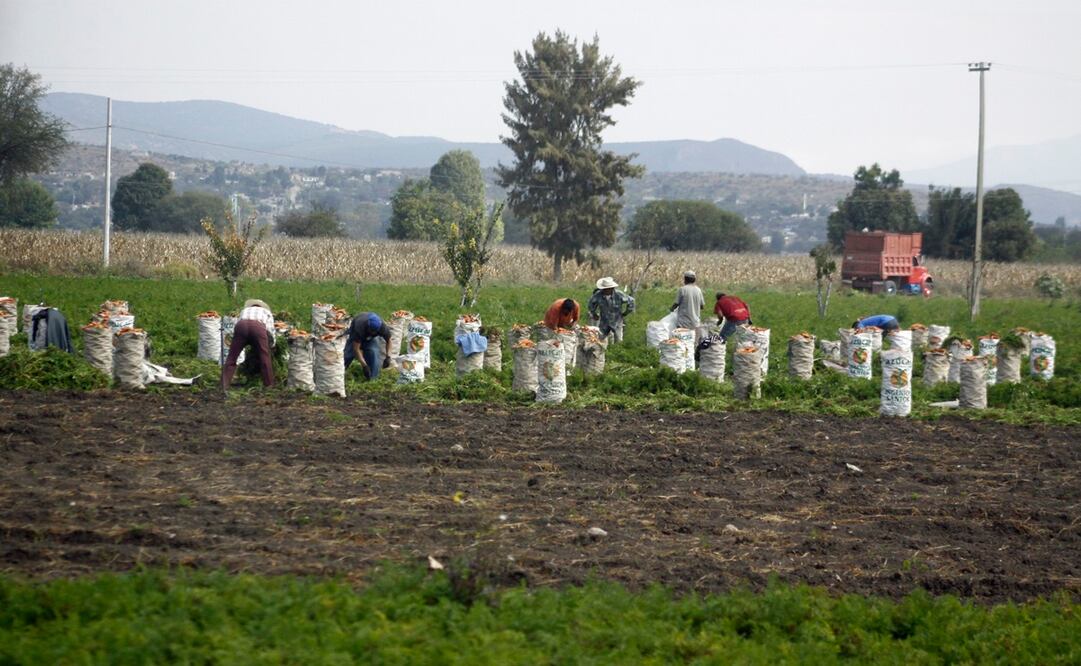 Foto: Archivo. EL UNIVERSAL