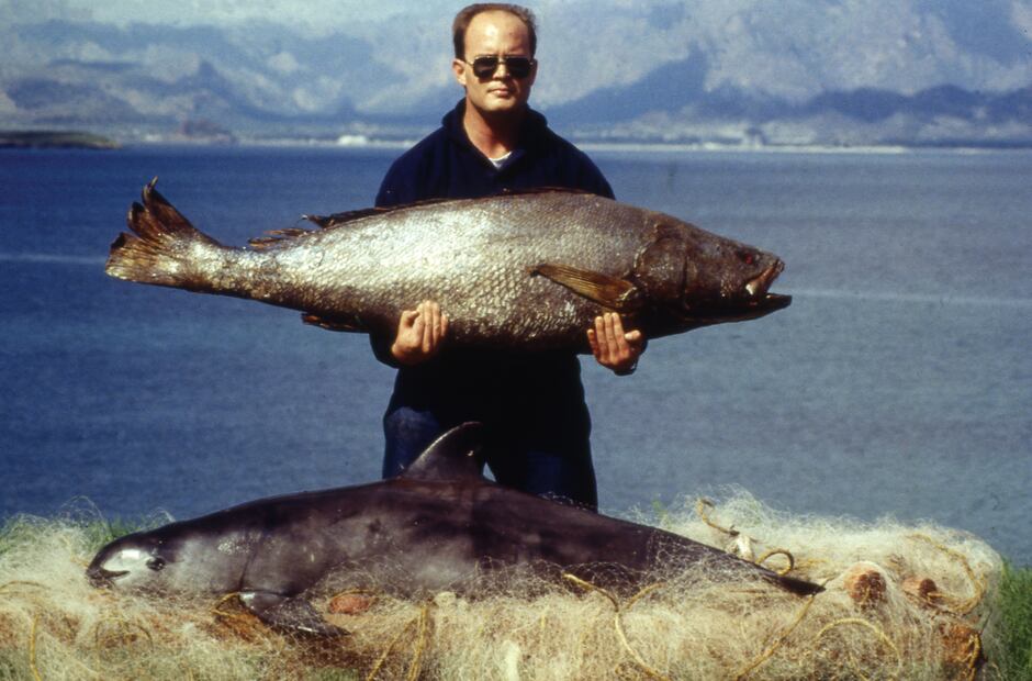 Totoaba y vaquita muertas en redes © Omar Vidal