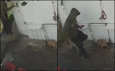 VIDEO: Captan a presunto trabajador de limpia golpeando a perrito en Naucalpan