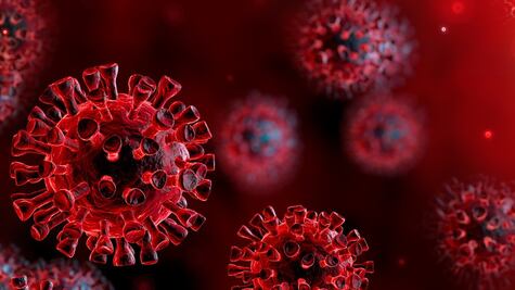 ¿Qué es un virus? Guía rápida para entenderlos 