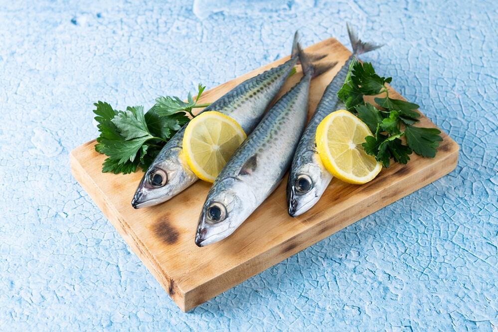 Estos son los beneficios de comer sardinas. Foto: Freepik