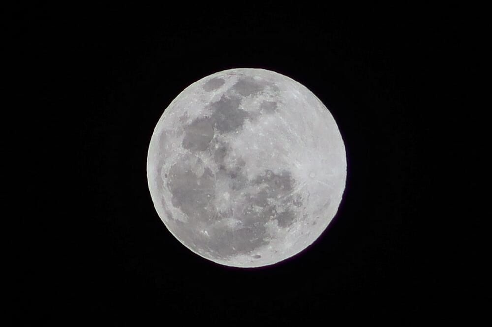 Imagen ilustativa de la Luna Llena del 5 de abril de 2023. Foto: Germán Espinosa, Archivo EL UNIVERSAL