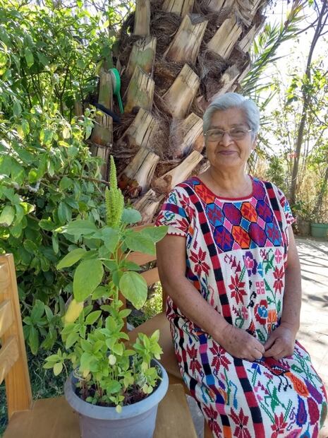 Productores oaxaqueños impulsan el consumo del amaranto