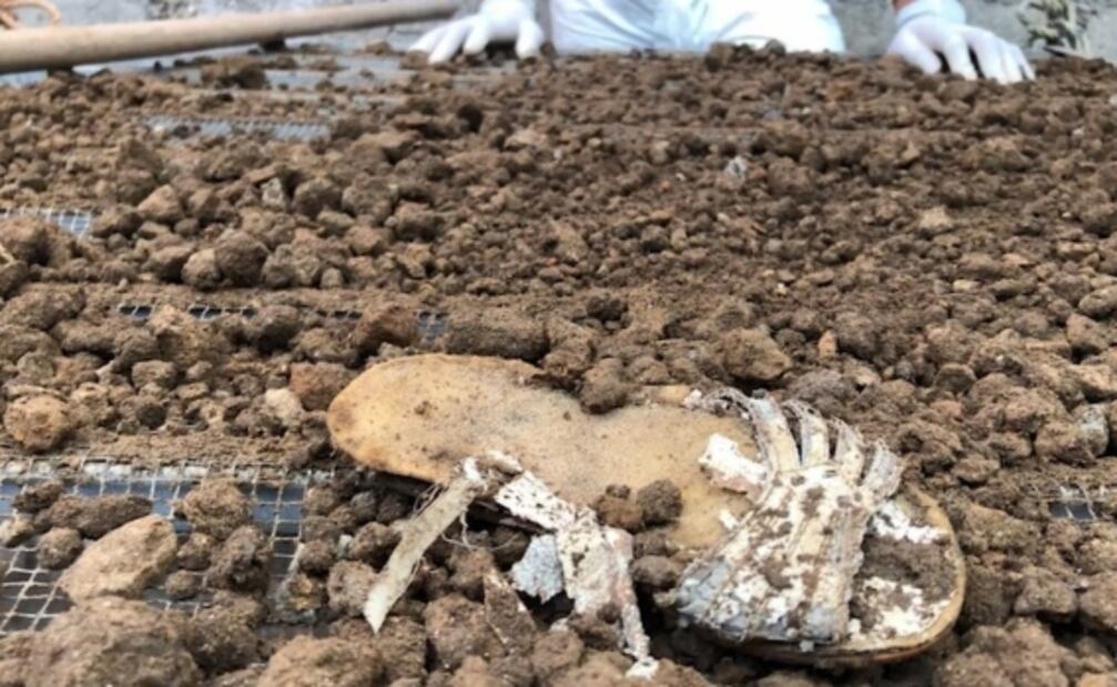 Capítulo 3 de "El Caníbal de Atizapán": regalaba carne enchilada a sus vecinos... y les decía que era de jabalí