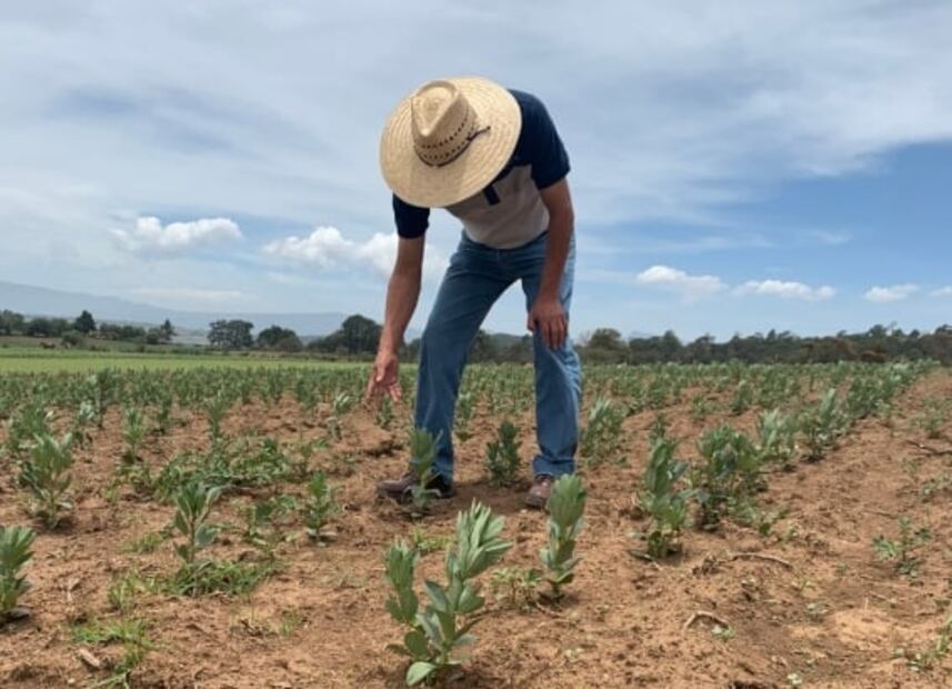 Conoce Xadithä el nuevo proyecto del chef Cesar Castañeda