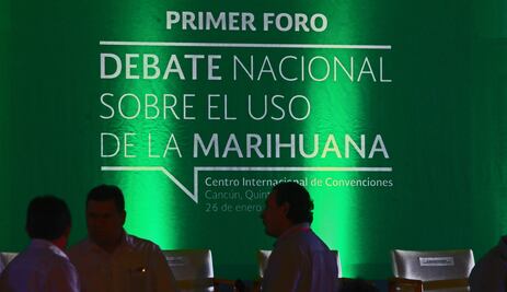 "Debate podría cambiar modelo sobre marihuana"