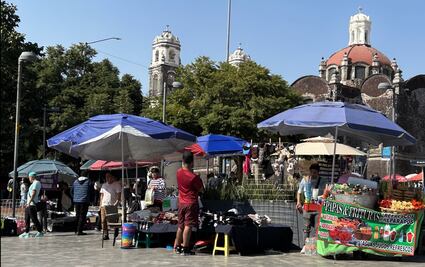 Autoridades deben poner un alto al ambulantaje o “se convertirá en un monstruo que devore economía formal”: comerciantes en pequeño