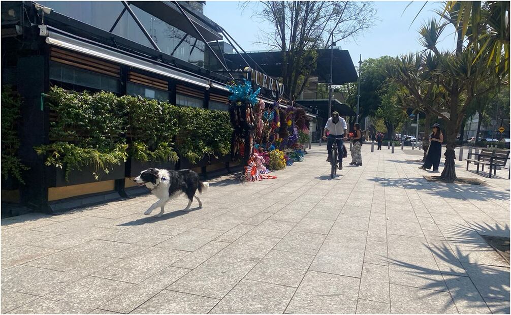 Festival de las Flores y Jardines. Foto: Alberto Acosta