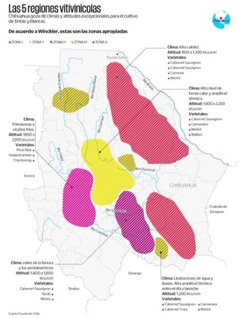¡Ah Chihuahua!, la viticultura que sorprende al norte del país
