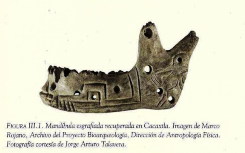 The enigma around the ritual use of jaws in pre-Hispanic cultures