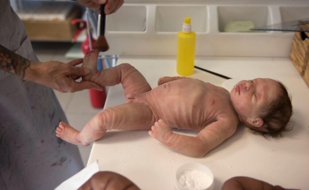 La oveja Dolly, el experimento que revolucionó la biología