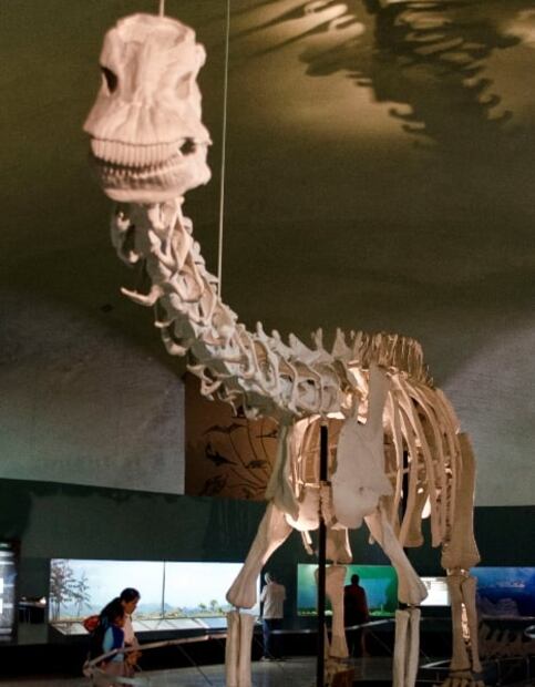 Lugares para ver dinosaurios en CDMX