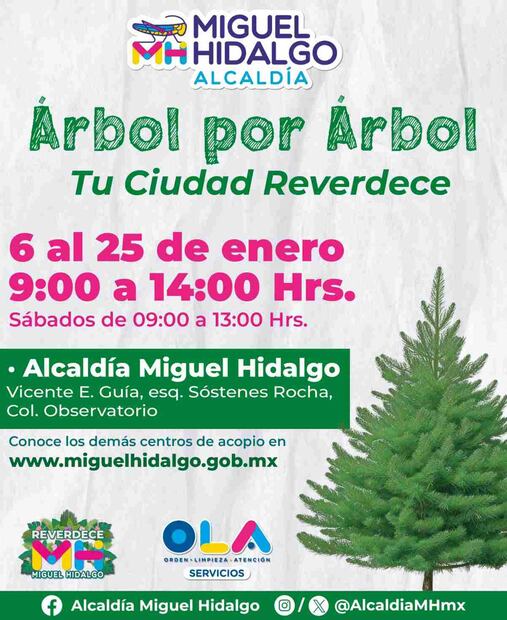 Campaña "Árbol por Árbol: Tu Ciudad Reverdece 2025" en Miguel Hidalgo. Foto: X@AlcaldiaMHmx