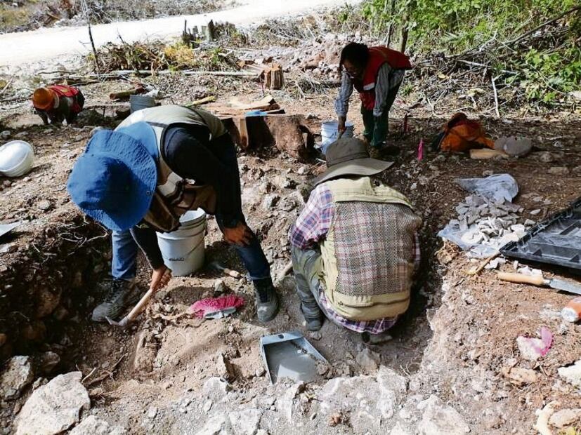 Tren Maya: “La exploración arqueológica debe mejorar”