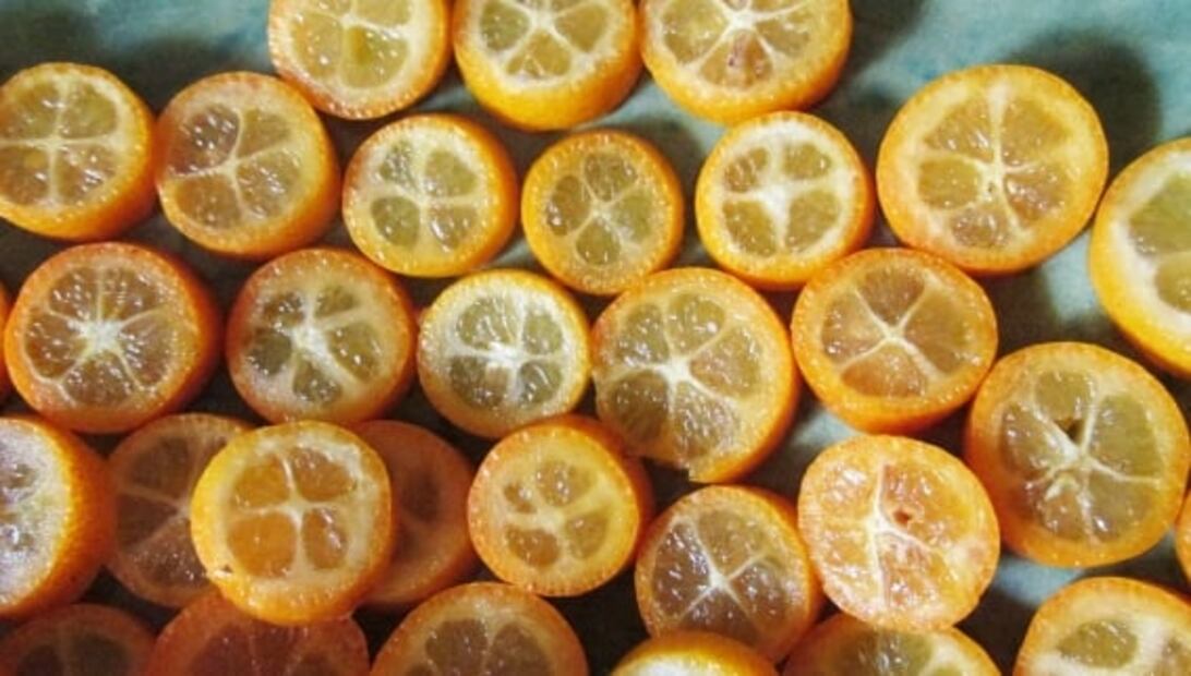 ¿Conoces el kumquat? Descubre este cítrico