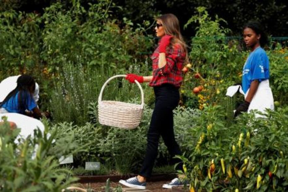 Melania Trump cultiva huerto de la Casa Blanca, creado por Michelle Obama