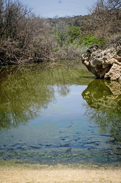 Sobre el agua verdosa y con olor putrefacto, en ocasiones flotan anfibios, mosquitos, basura y todo tipo de desechos, señalan comuneros. Foto: Mario A. Martínez