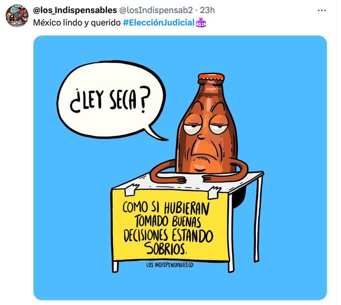 Los mejores memes que dejó el inicio de la elección judicial 2025. Foto: Captura de pantalla