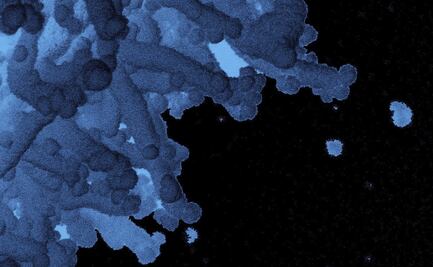 ¿Cómo llamar a variantes del SARS-CoV-2? El desafío para evitar discriminación