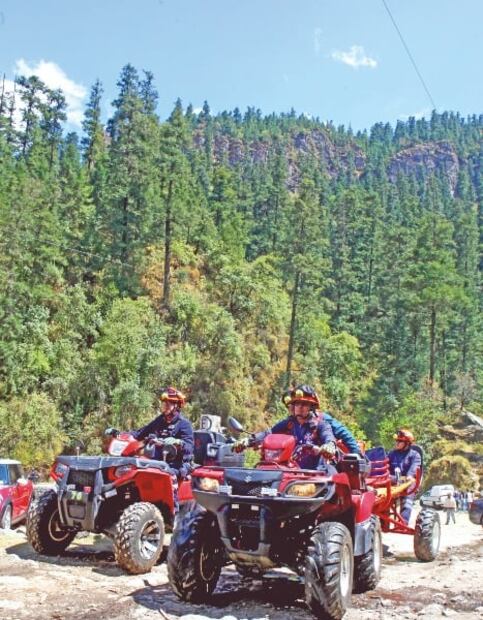 Bosques que puedes visitar en CDMX sin gastar mucho