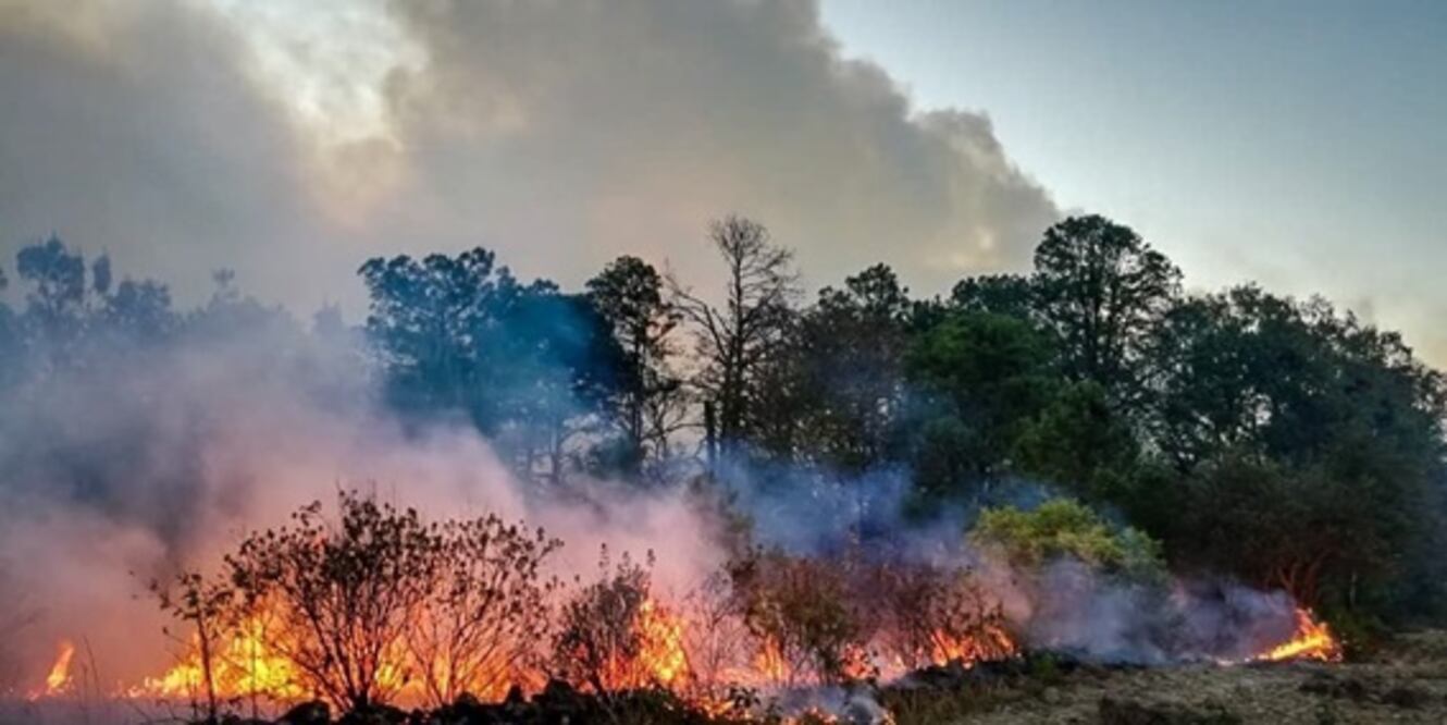 Se duplican incendios forestales en Oaxaca; usan helicóptero