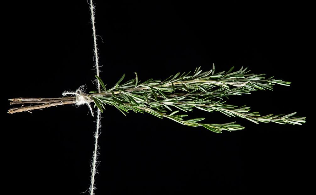 Siete hierbas para usar en la cocina.
Romero. Foto: Jorge Garaiz / El Universal