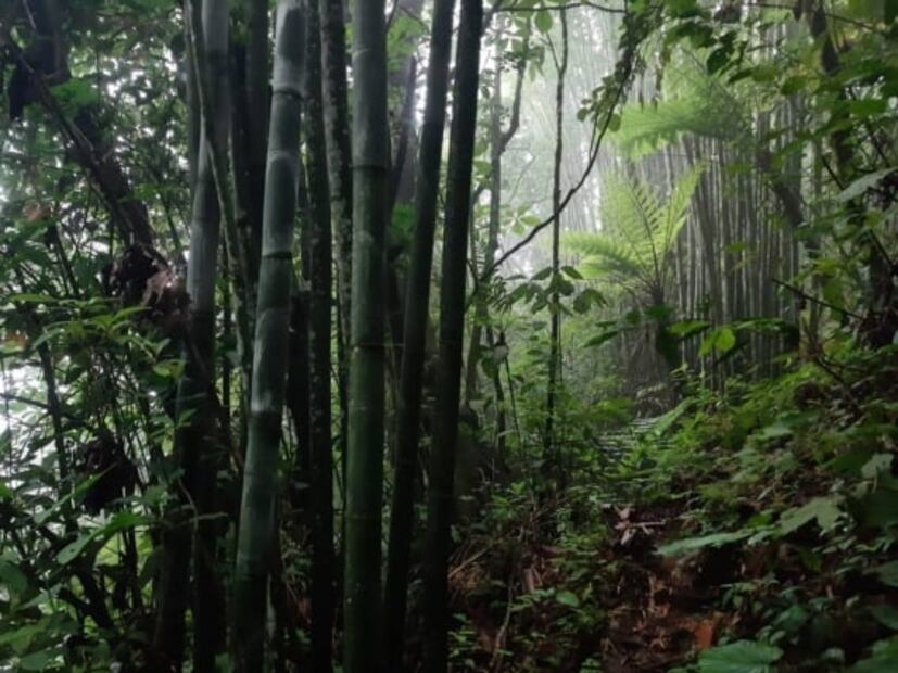 Aventura en Cuetzalan, ¿cómo es pasar la noche en una gruta?